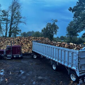 whole sale firewood