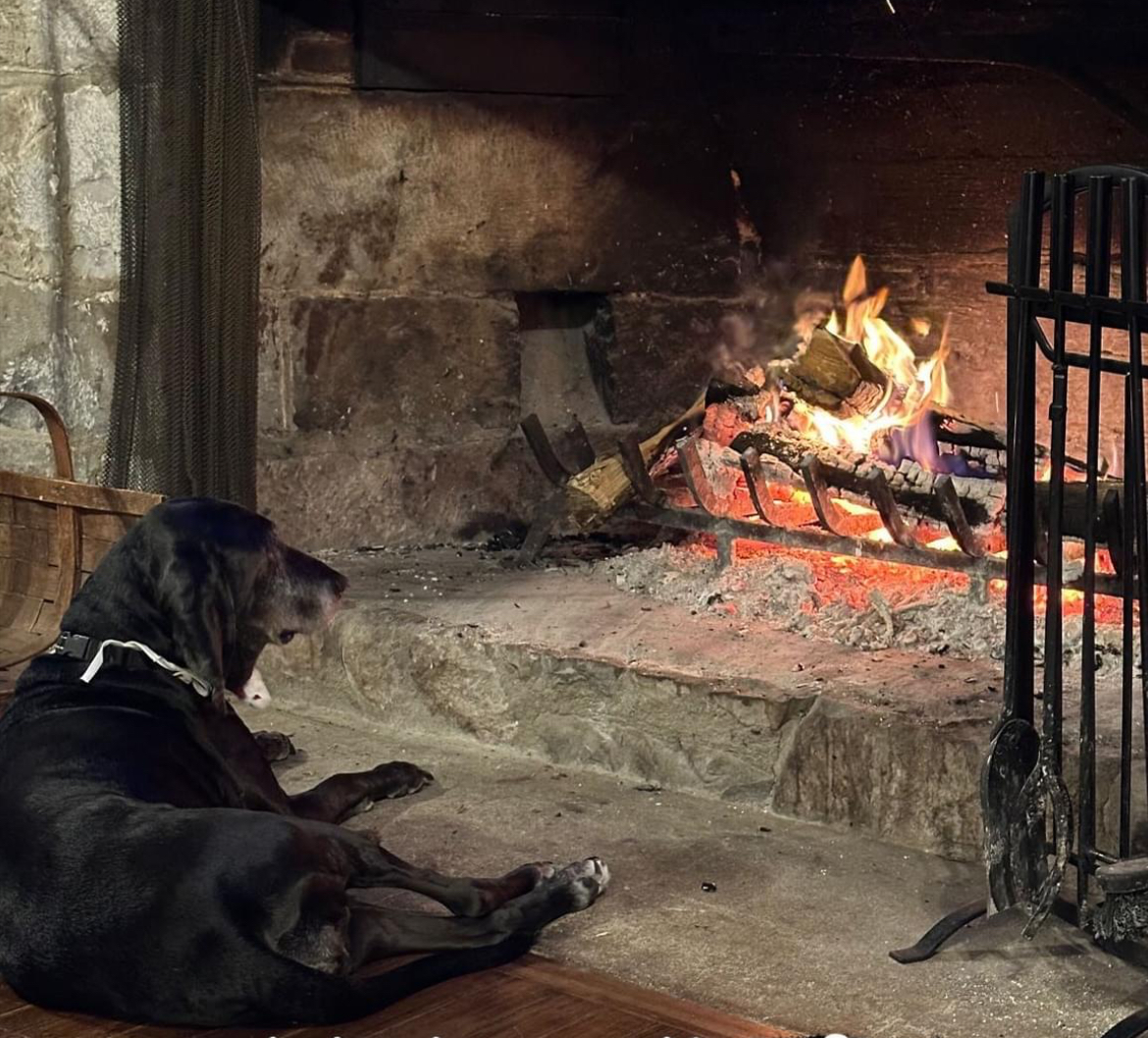 Dog at the Fireplace